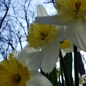 Meet your Posher, Sue